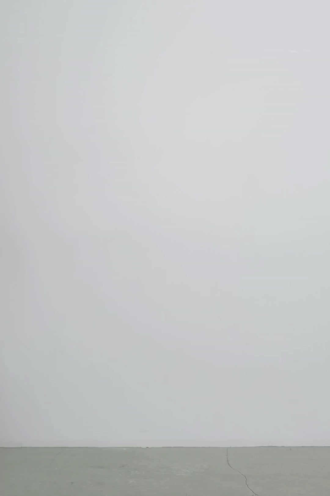 The Salix top in tencel